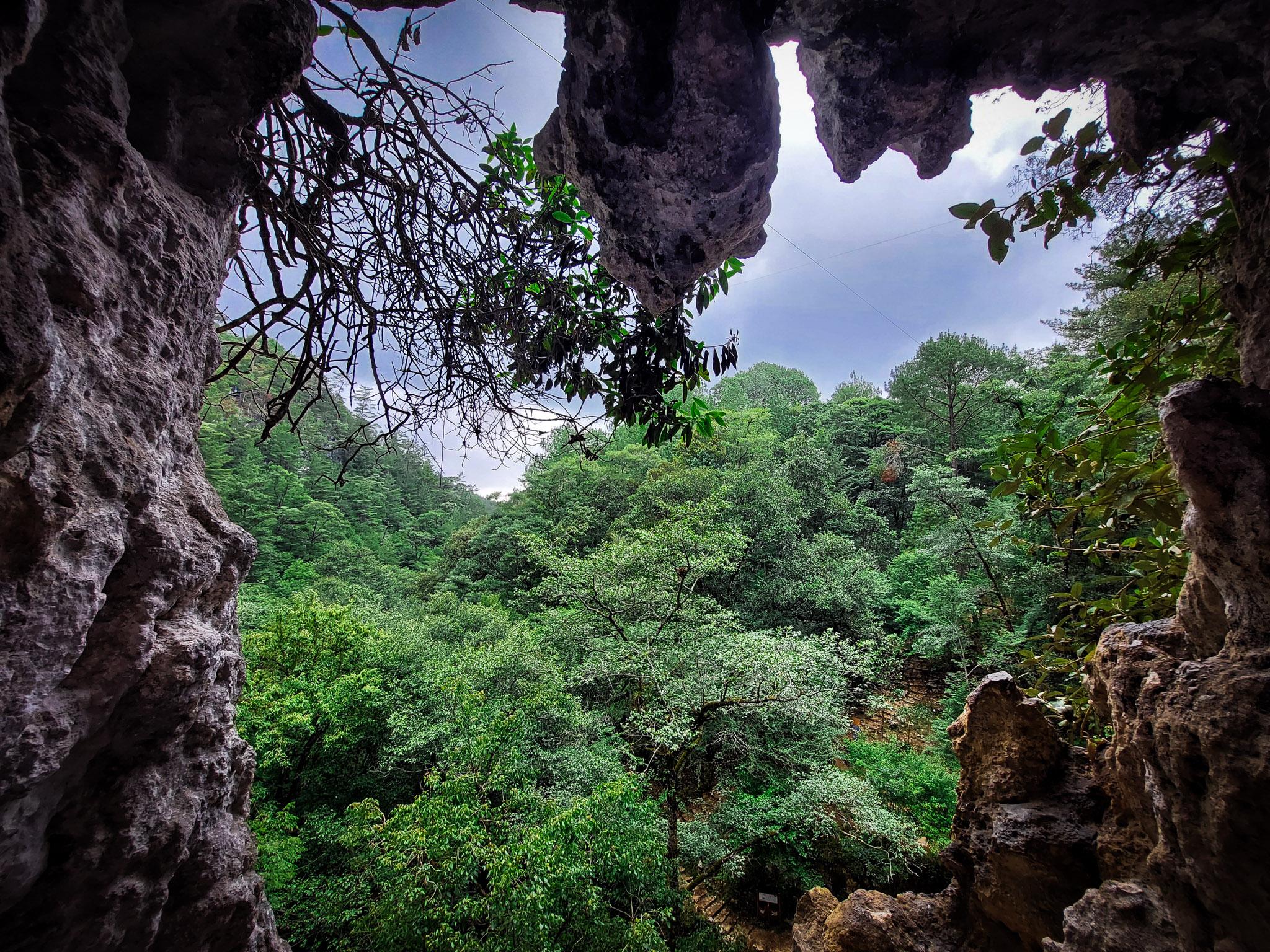 Fotografía de naturaleza por Edgar Bravo