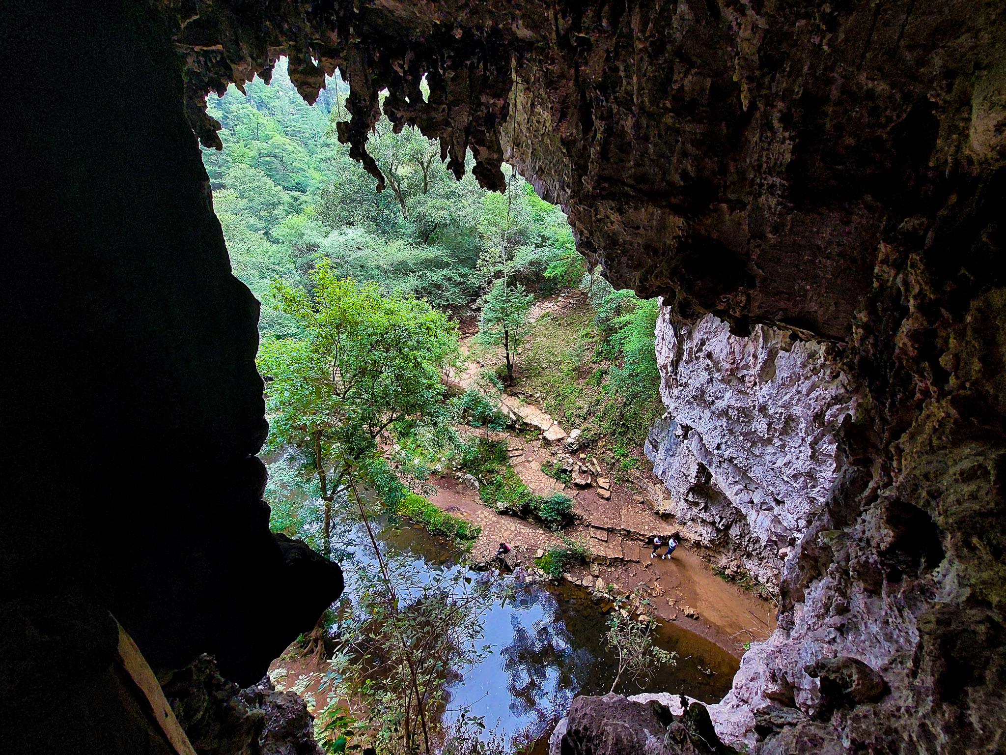 Fotografía de naturaleza por Edgar Bravo