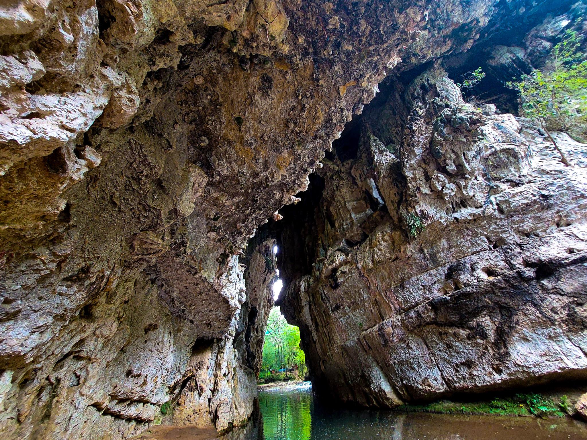 Fotografía de naturaleza por Edgar Bravo