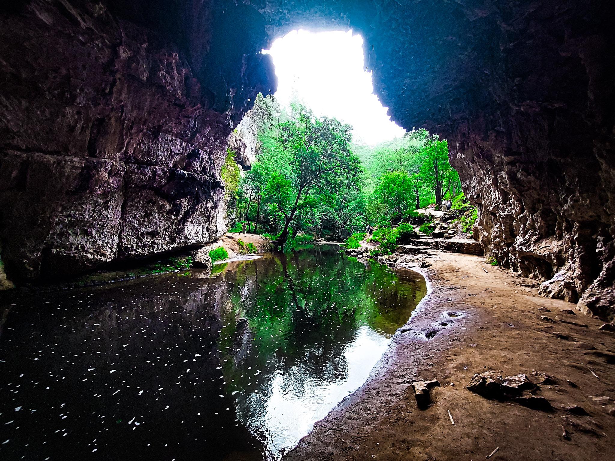 Fotografía de naturaleza por Edgar Bravo