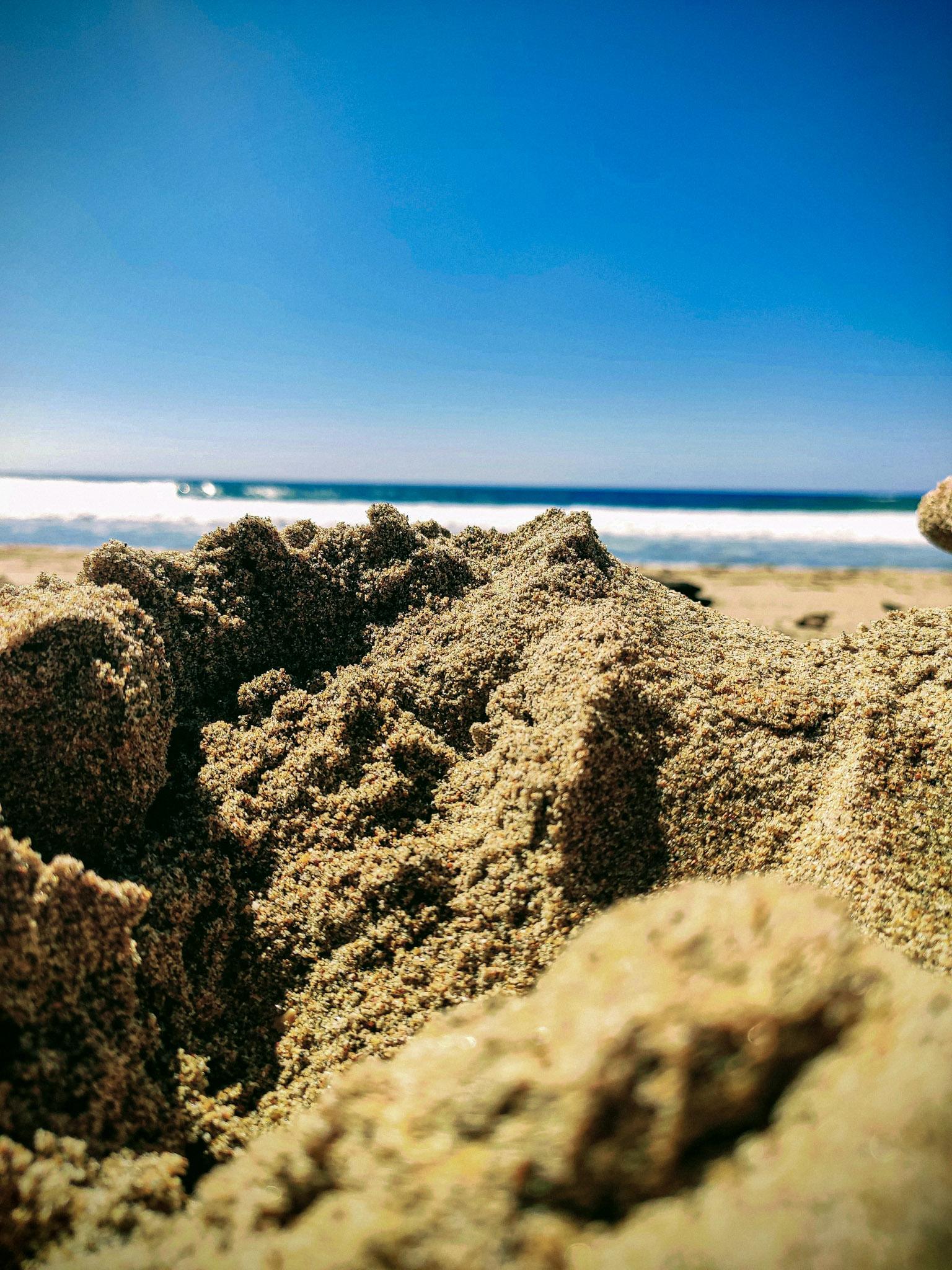 Fotografía de naturaleza por Edgar Bravo