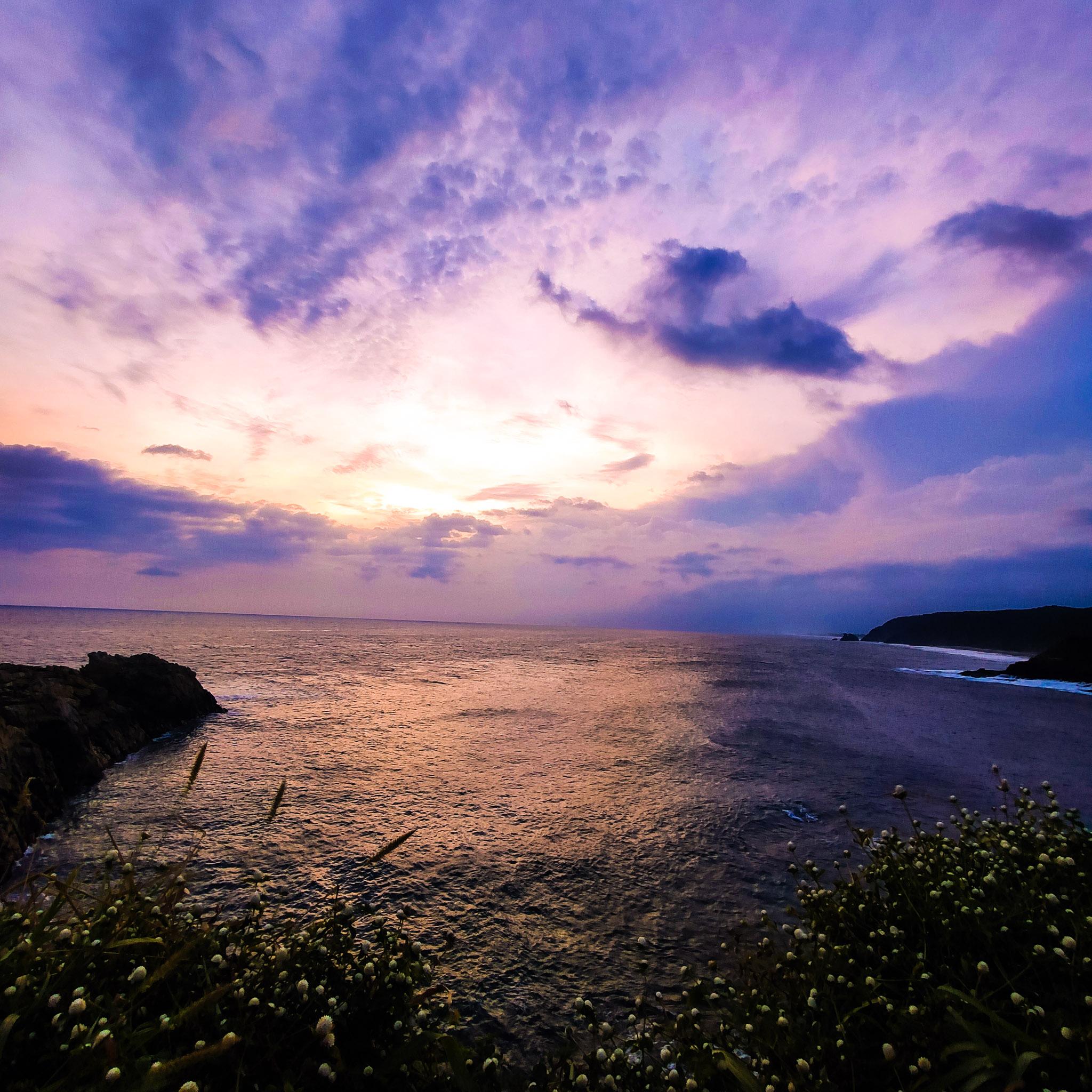 Fotografía de naturaleza por Edgar Bravo