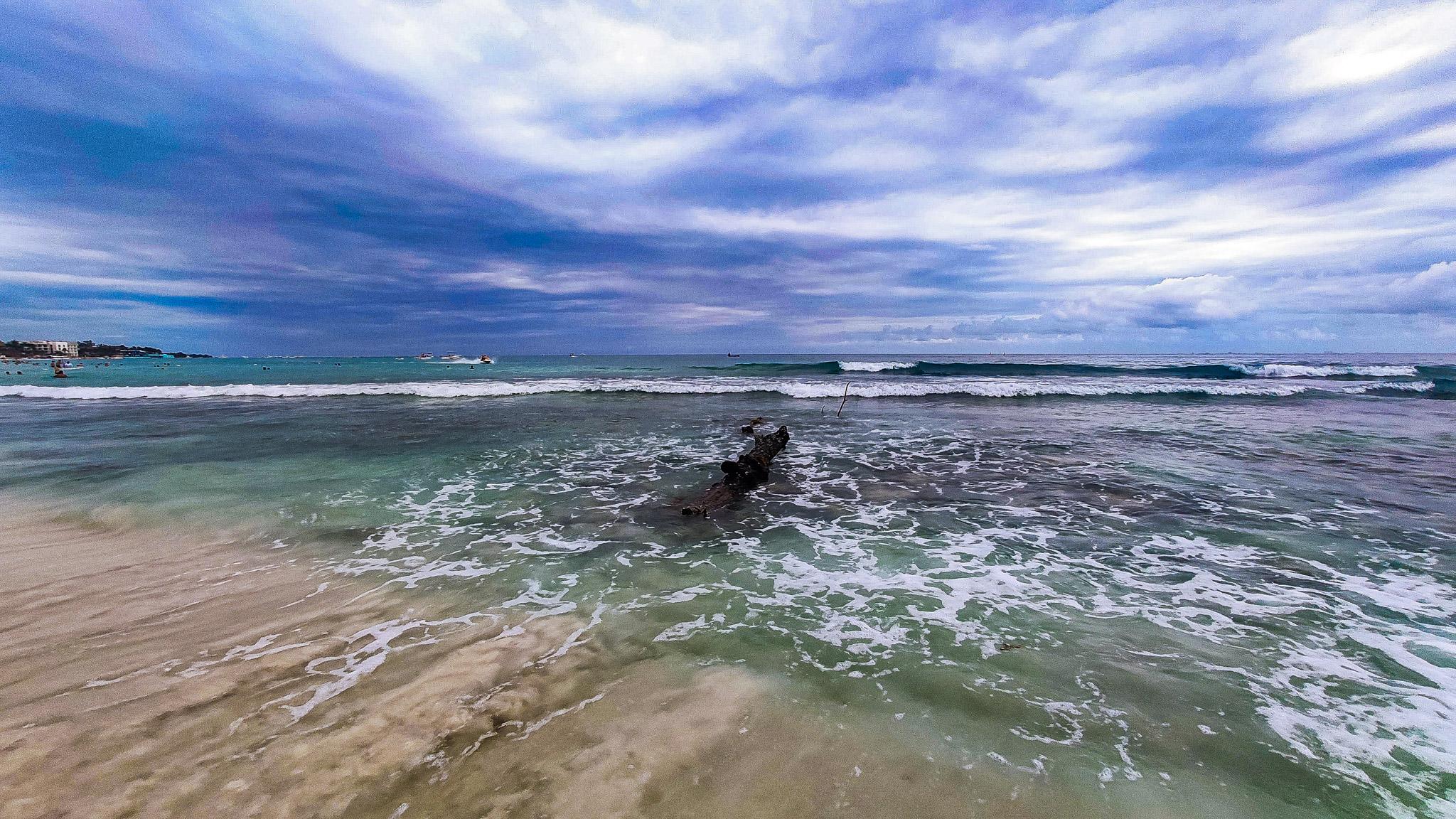 Fotografía de naturaleza por Edgar Bravo