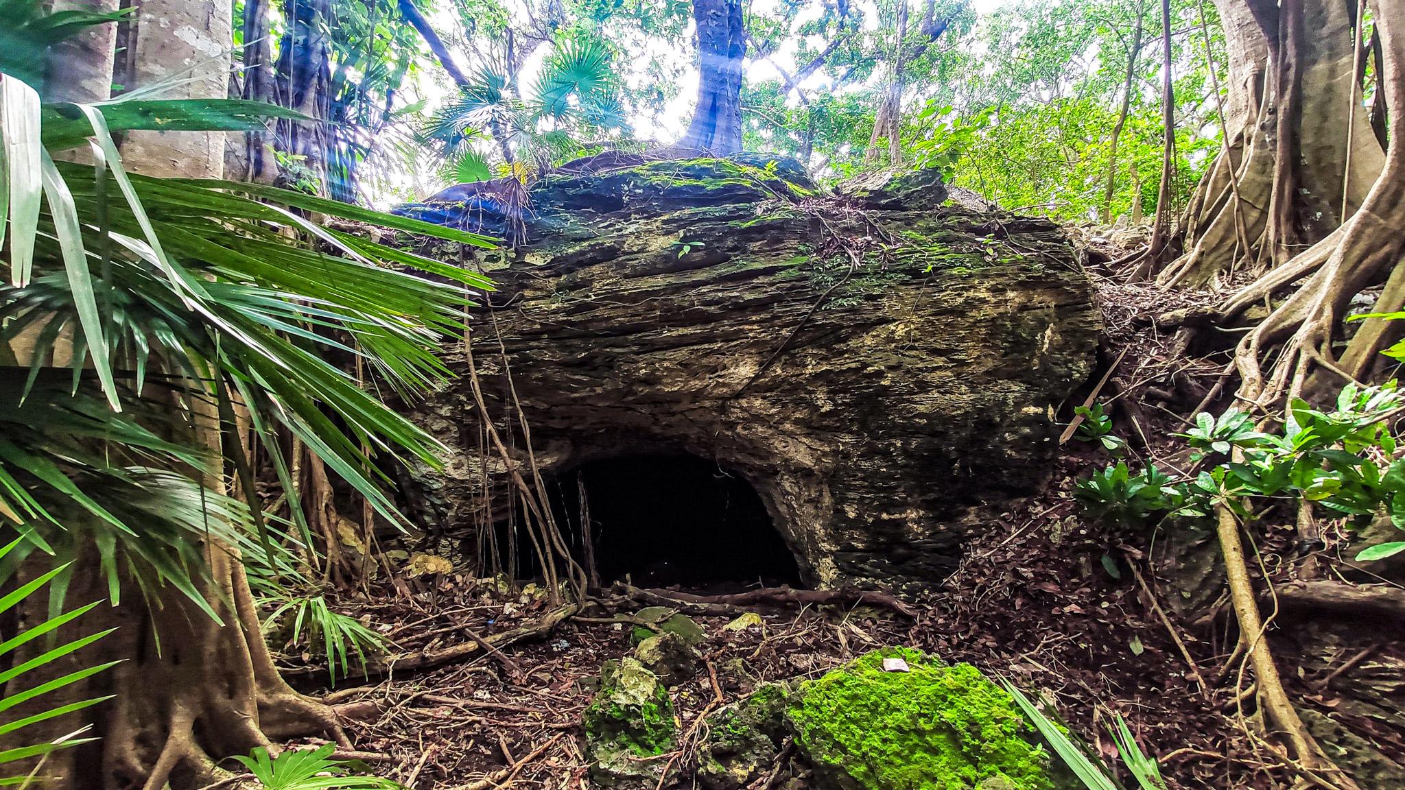 Fotografía de naturaleza por Edgar Bravo