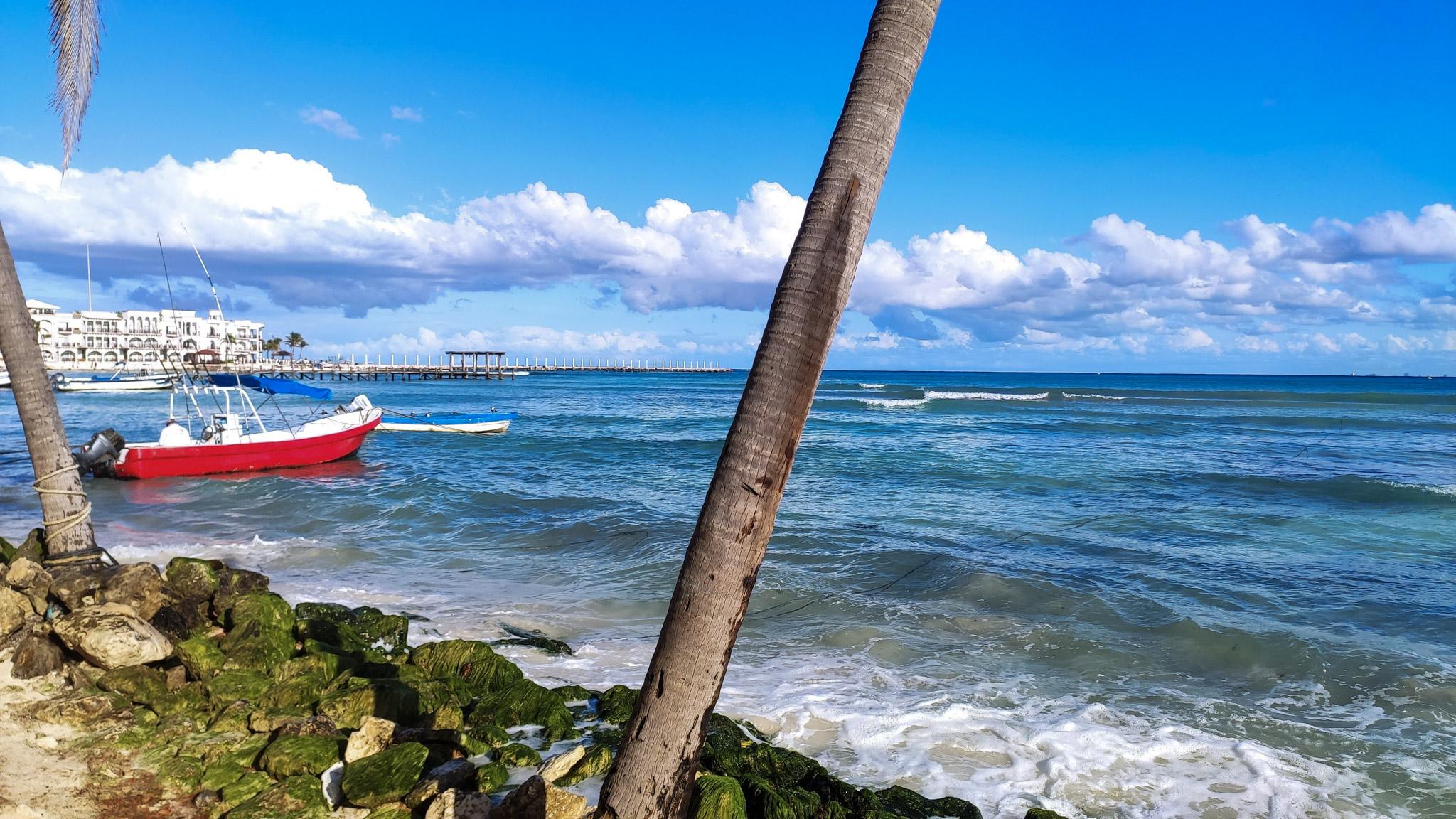 Fotografía de naturaleza por Edgar Bravo