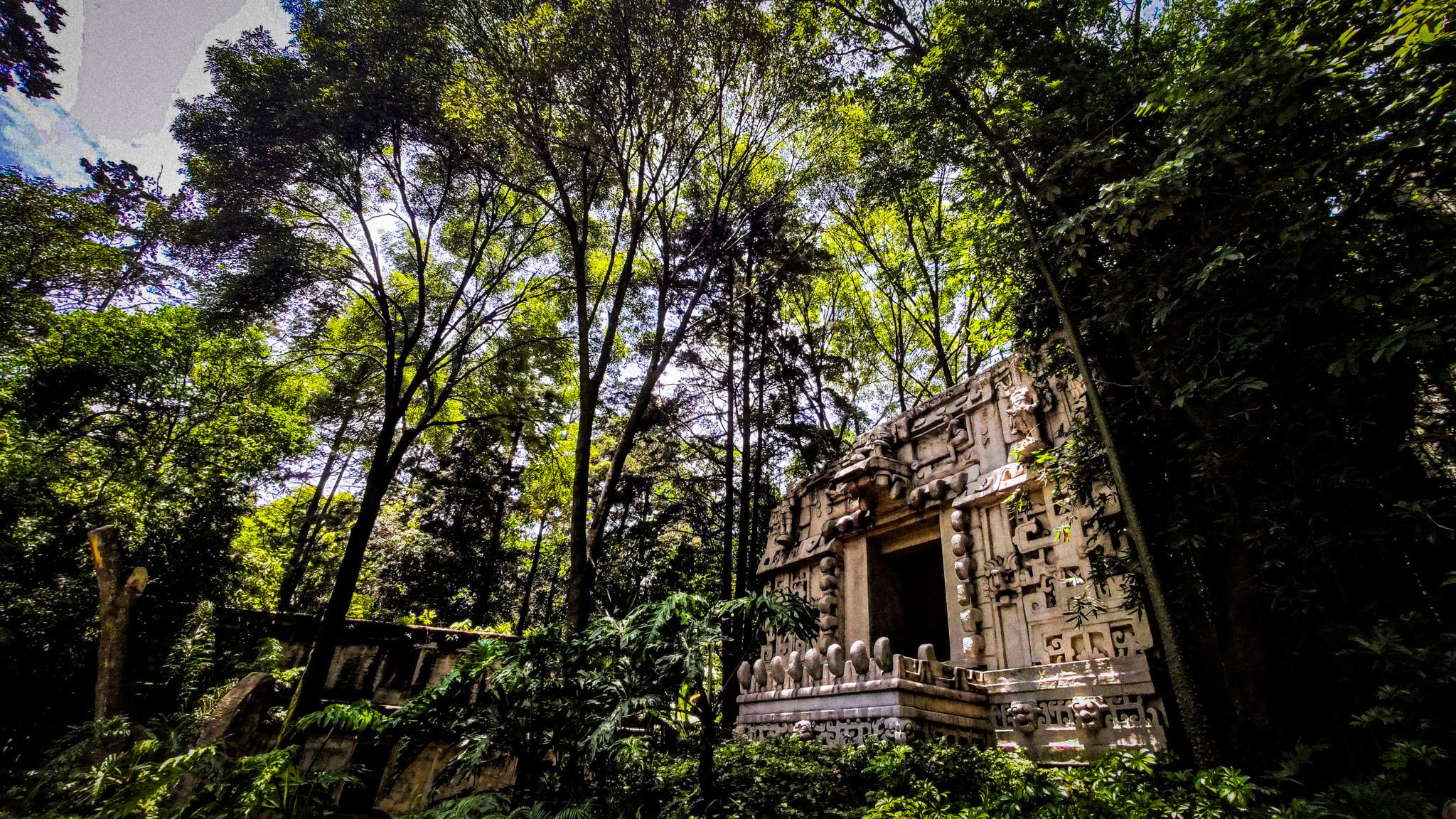 Fotografía callejera y de arquitectura por Edgar Bravo