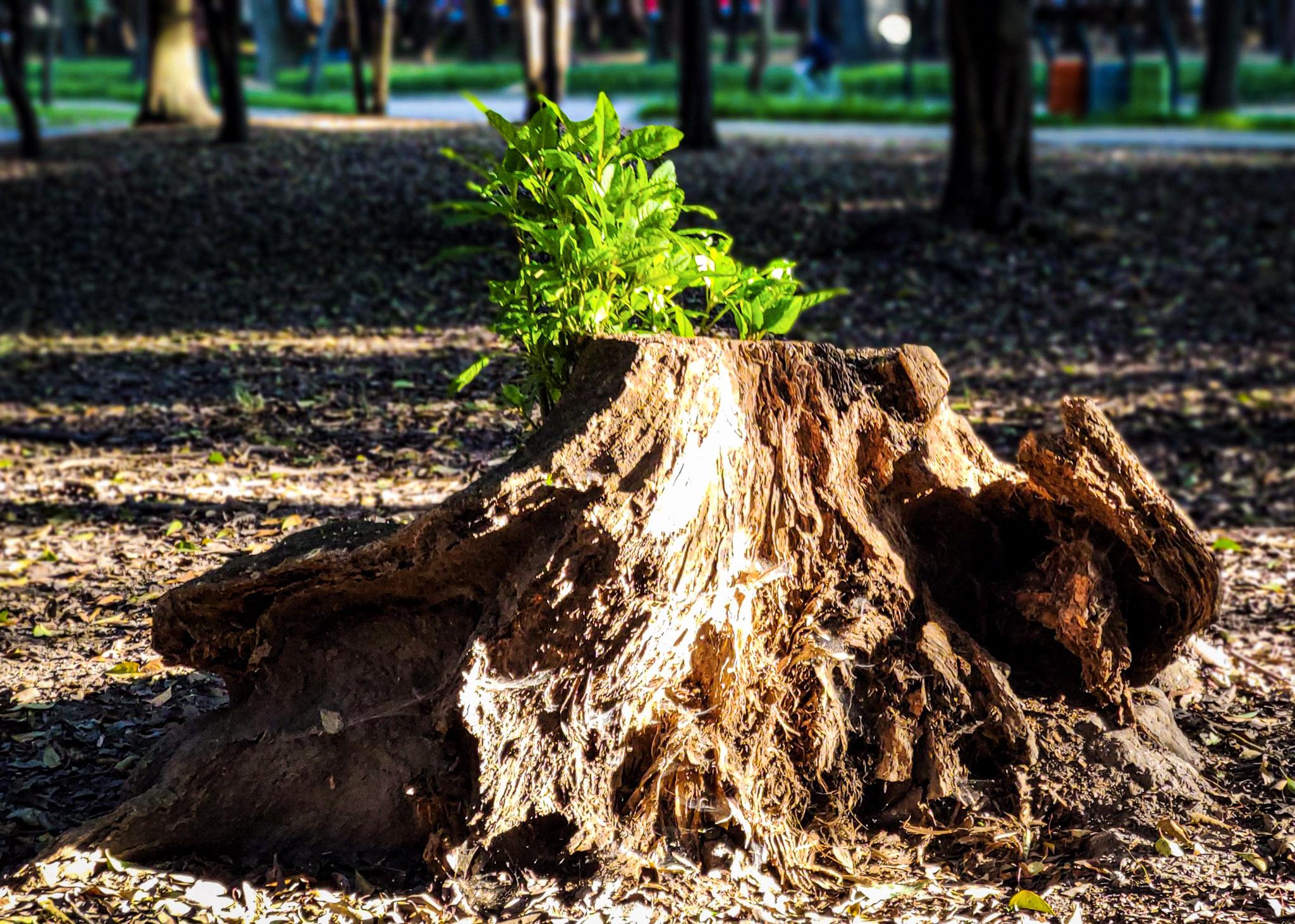 Fotografía de naturaleza por Edgar Bravo