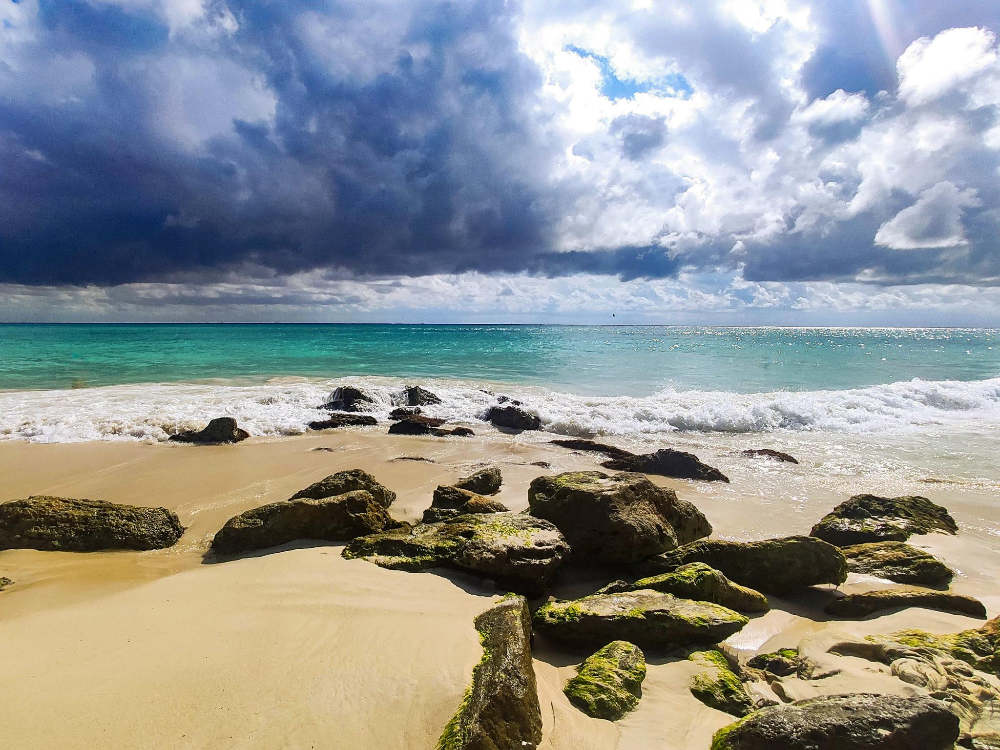 Fotografía de naturaleza por Edgar Bravo en Playa del Carmen Quintana Roo México