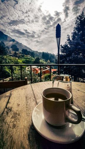 Tecito en la montaña en San José del Pacifico, Oaxaca, México