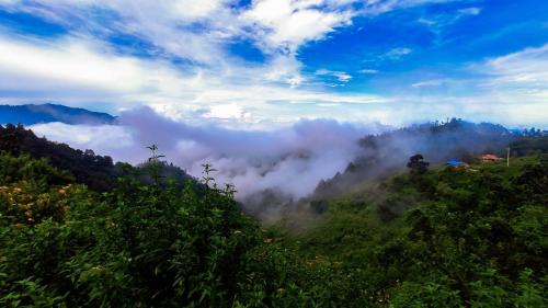 Frío en la montaña by Edgar Bravo